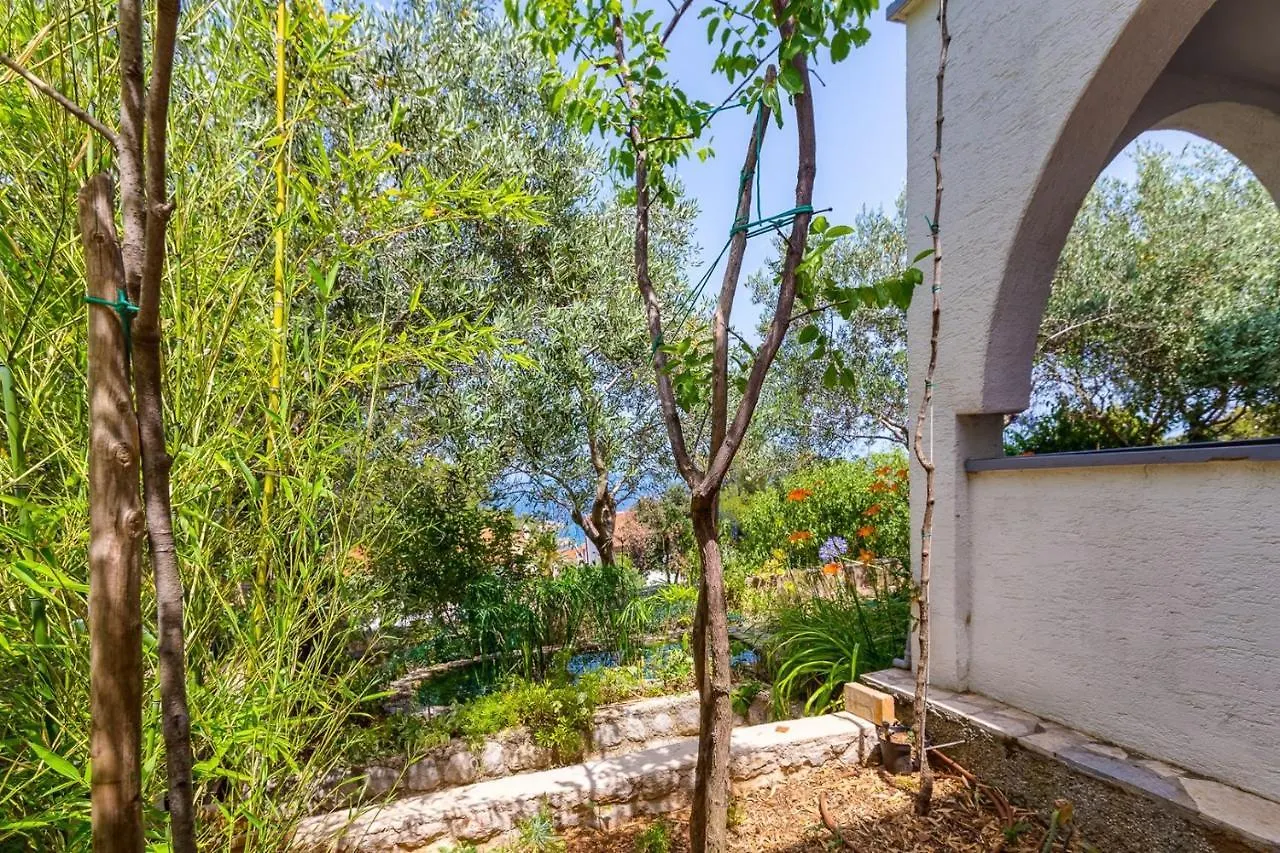 Apartments Matea, مالي لوشينغْ بيت ضيافة